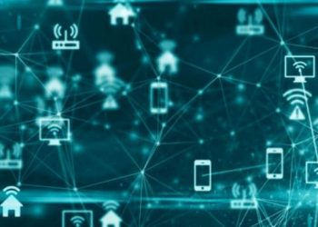 network là gì
